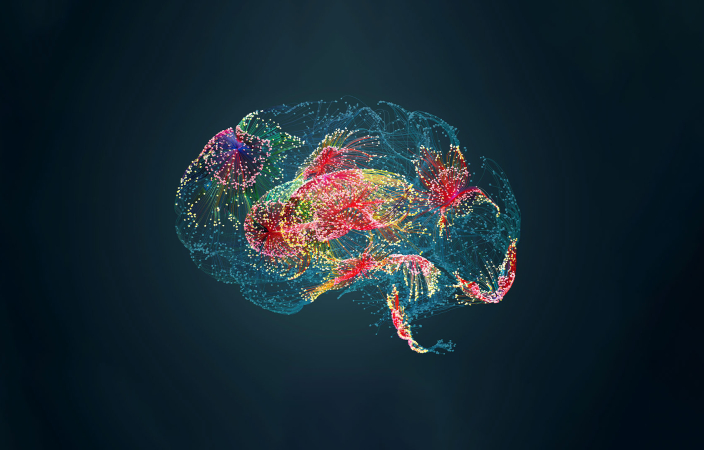 Multicoloured brain